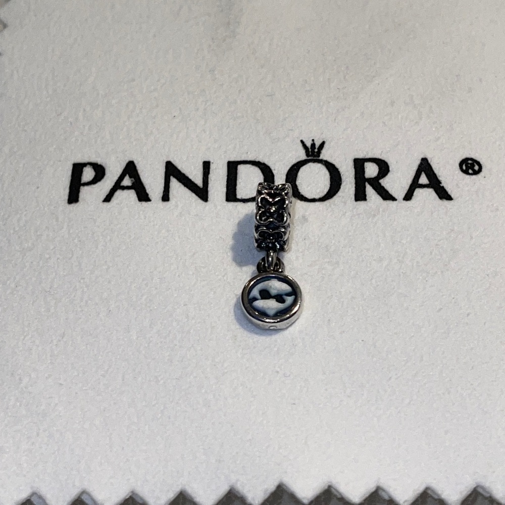Pandora Retired Pisces Zodiac Cameo Dangle Charm Blue & White Agate